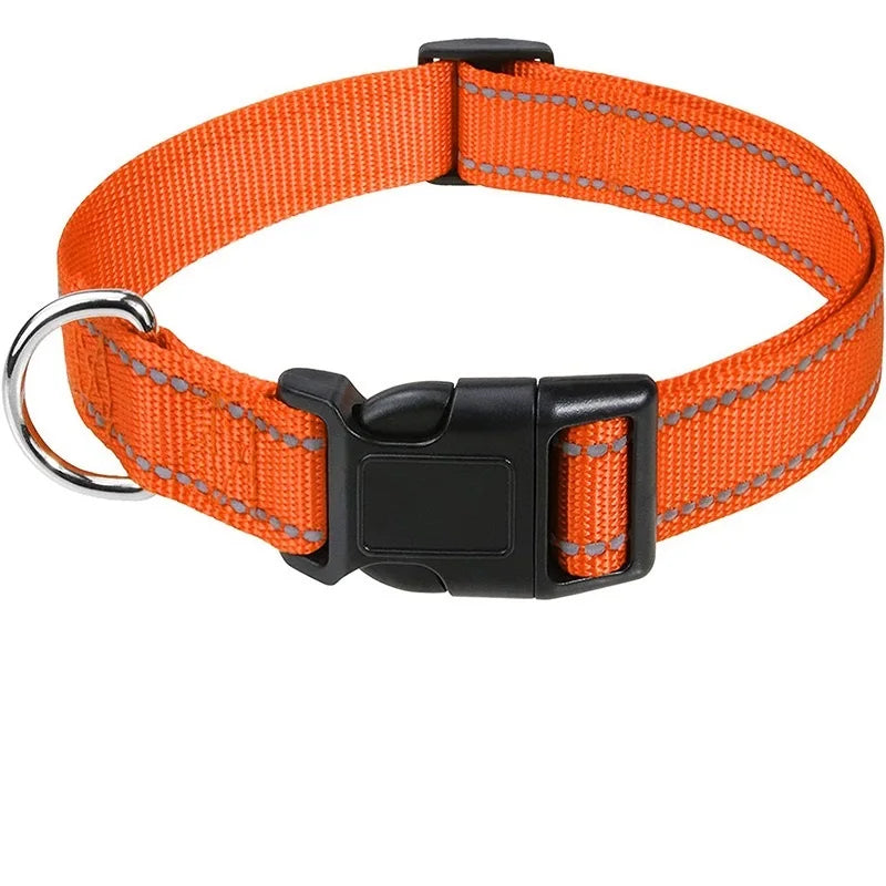 Nylon Dog Collar | Adjustable Buckle | Single or 2-Pack | Sizes XS–XL