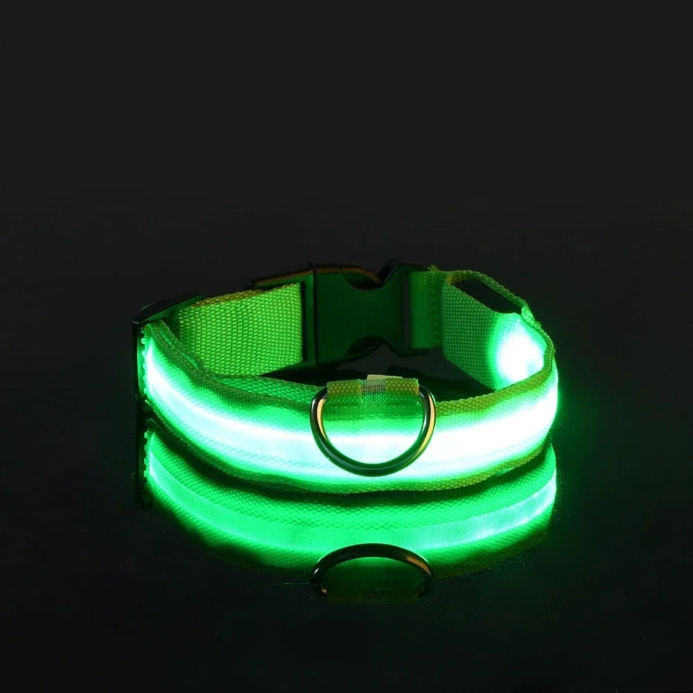 LED Glow Dog Collar | Nylon | Night Safety Flashing Light | Sizes XS–XL