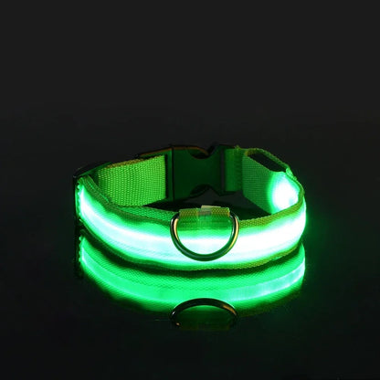 LED Glow Dog Collar | Nylon | Night Safety Flashing Light | Sizes XS–XL