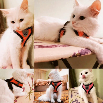 Breathable Mesh Small Dog & Cat Harness with Leash | Reflective | Sizes S–XL