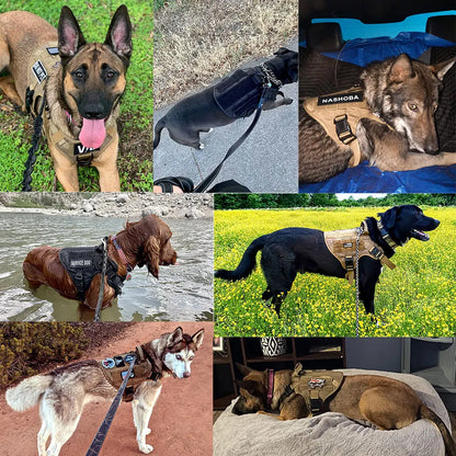 Military Tactical Dog Harness | 1050D Nylon | MOLLE | French Bulldog, Shepherd & More | S–XL