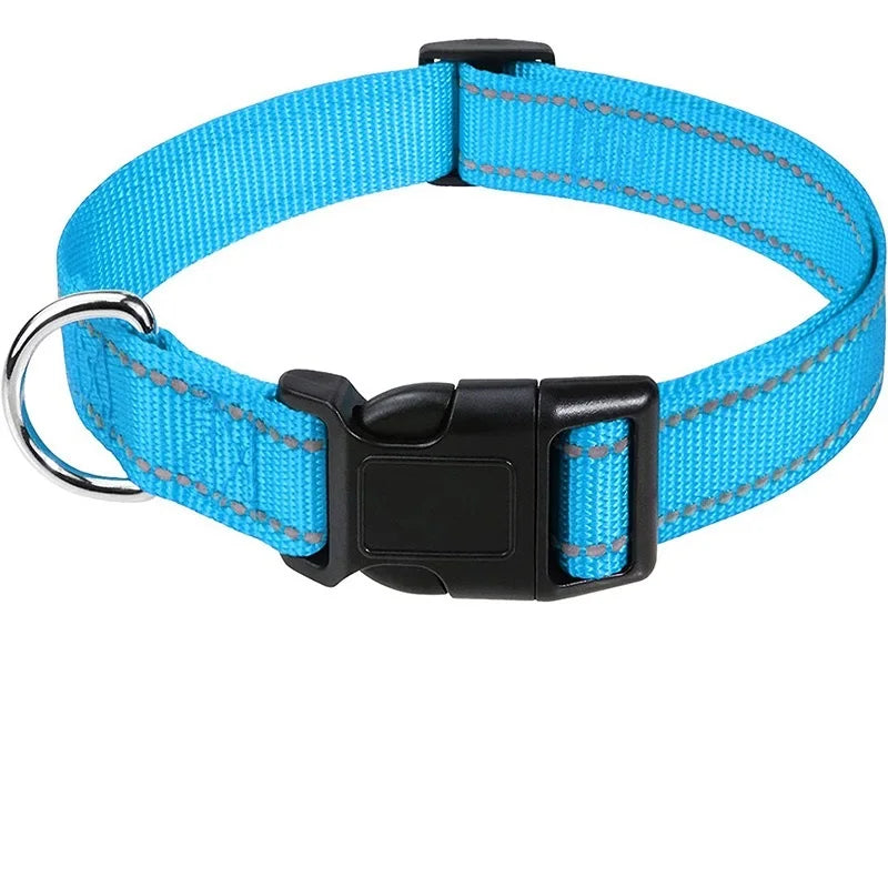 Nylon Dog Collar | Adjustable Buckle | Single or 2-Pack | Sizes XS–XL