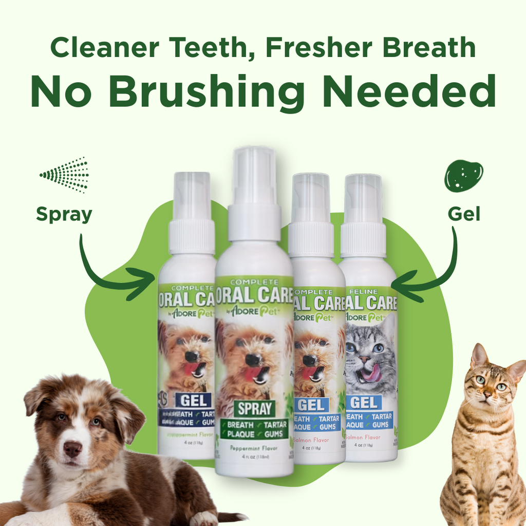 Adore Pet Dog Dental Spray & Fresh Breath Plaque Remover