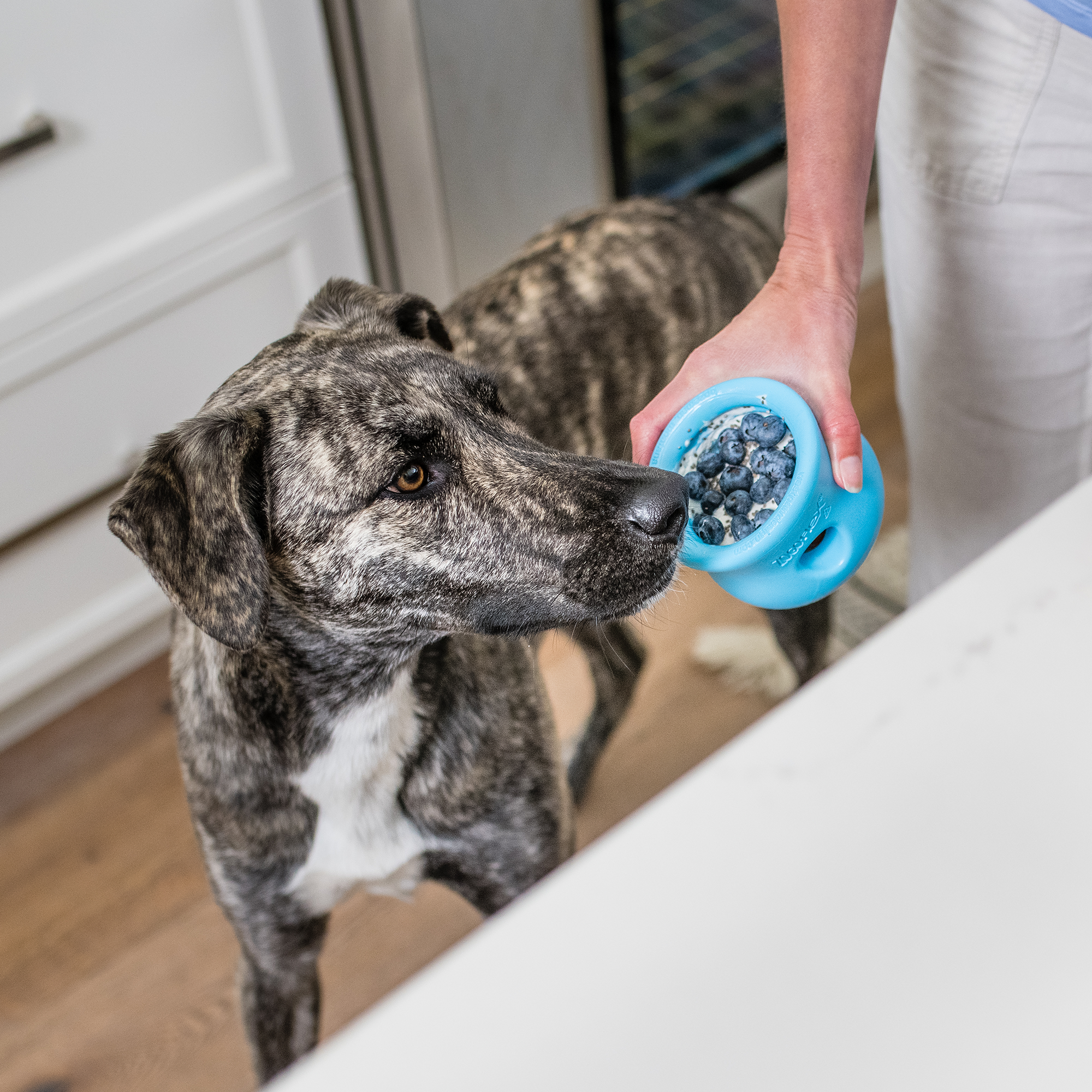 Toppl Durable Dog Puzzle Toy & Slow Feeder