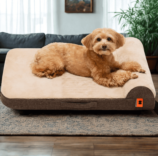 MEWOOFUN Orthopedic Dog Sofa Bed – Egg Crate Foam, Waterproof & Washable (Brown, Medium)