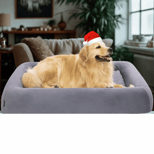 Pettycare Orthopedic Dog Bed XL – Chew-Resistant, Waterproof & Reversible Bolster Couch