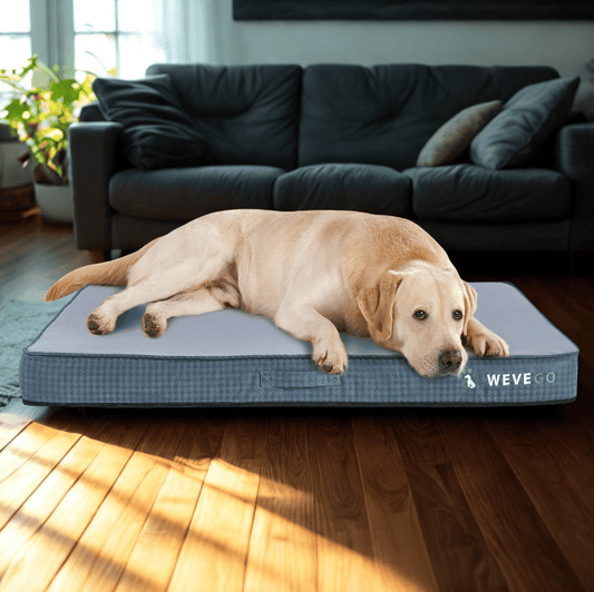 WEVEGO Orthopedic Dog Bed – Cooling Gel Memory Foam, Flannel Cover & Waterproof Liner