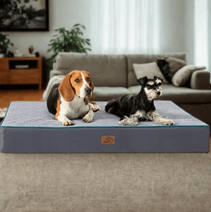 Bedsure Orthopedic Memory Foam Dog Bed – 2-Layer, Waterproof & Washable for Medium Dogs (Grey, 30x20")