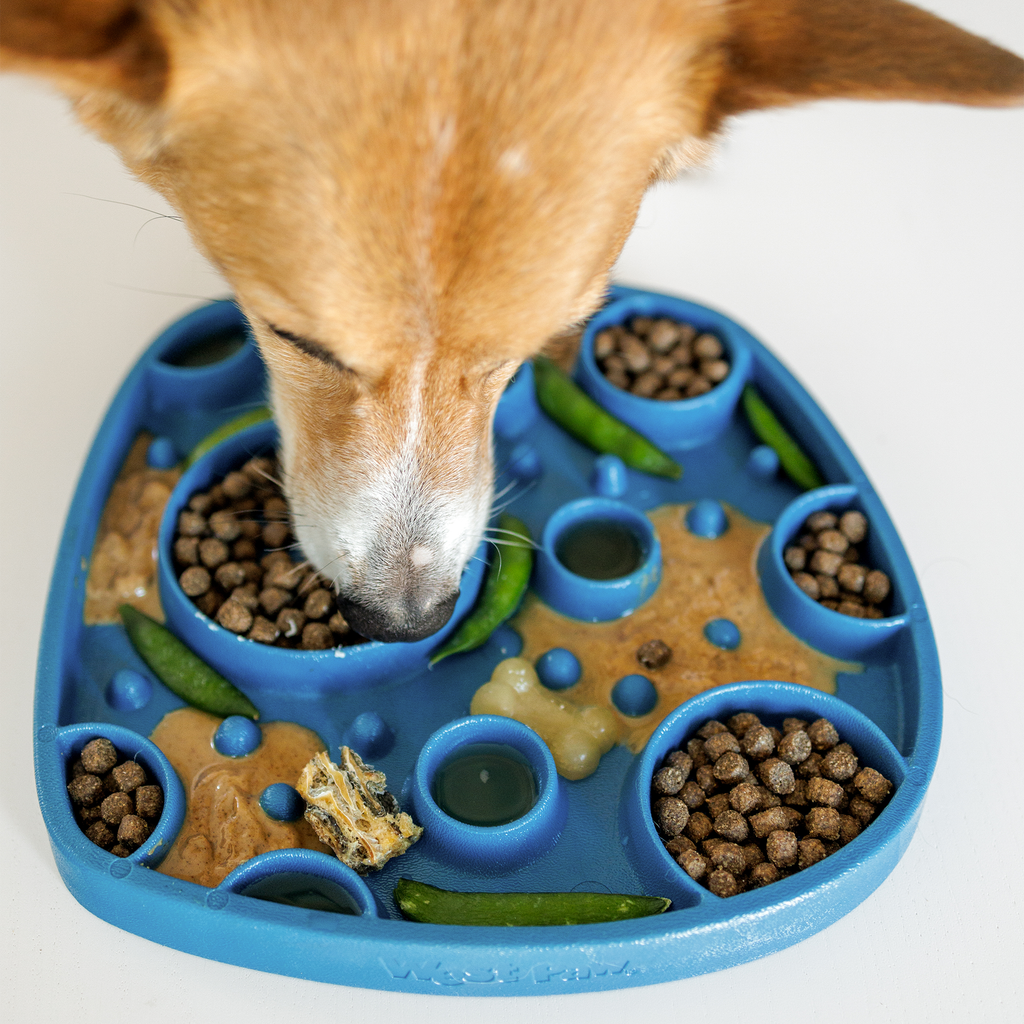 West Paw Bubbles Feast Mat Enrichment Puzzle Mat for Dogs