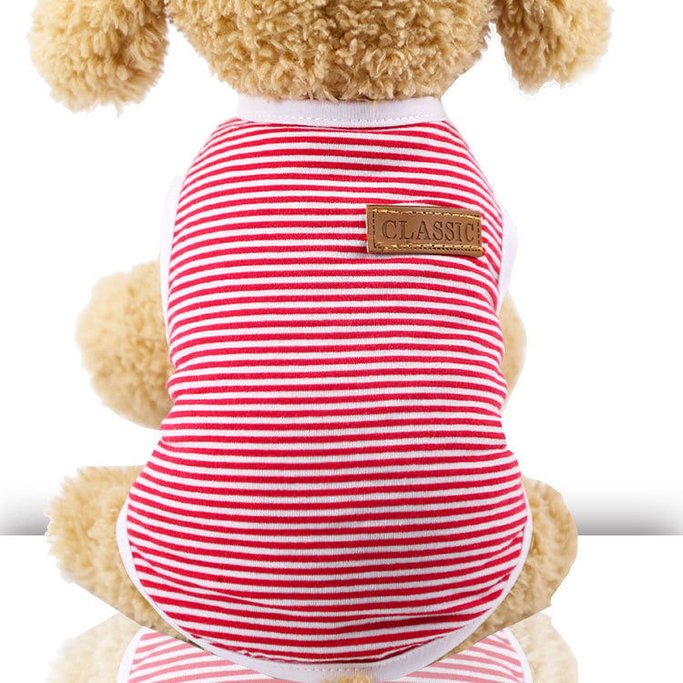 Puppy Fighting Teddy Cat Costume Outfit