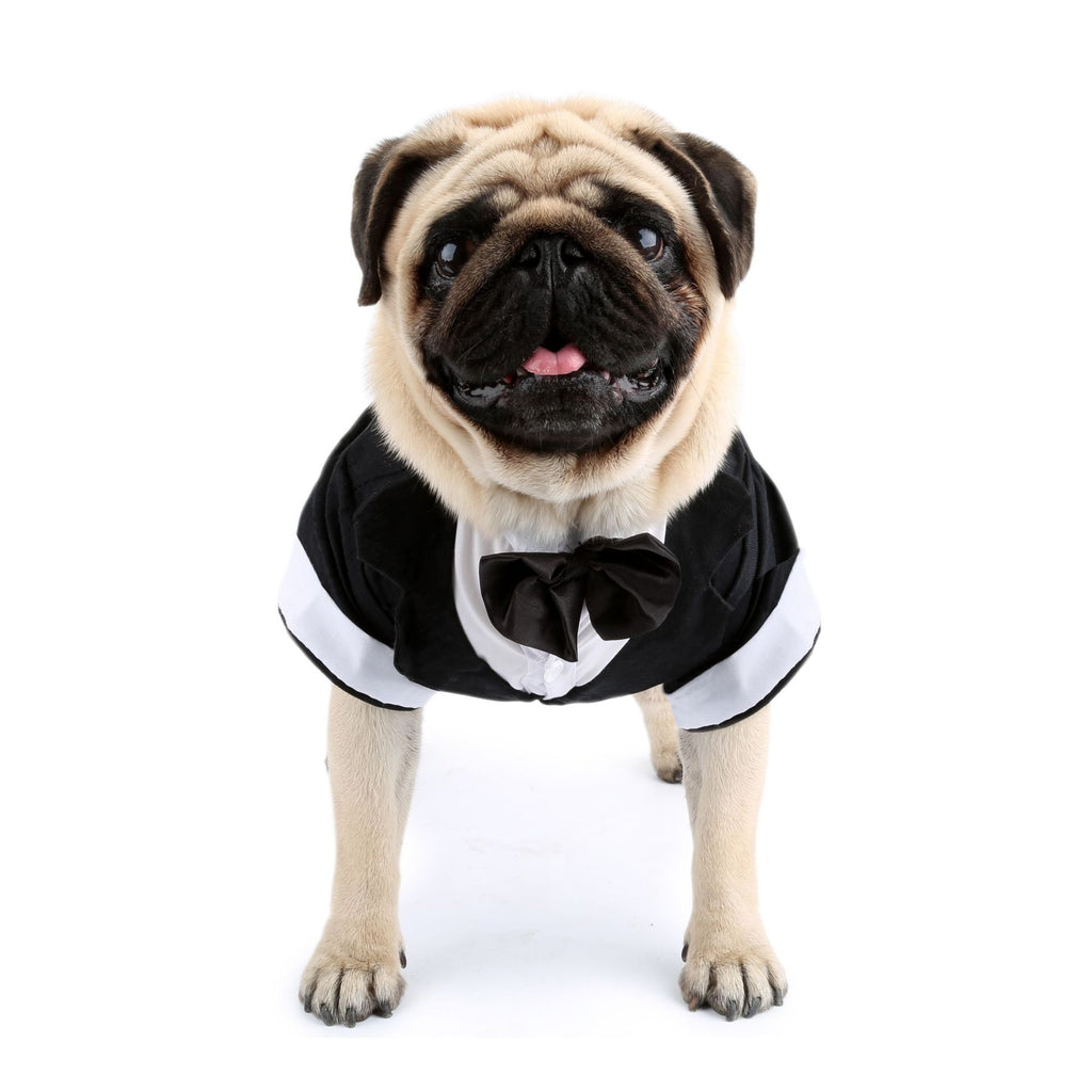 Puppy Gentleman Bow Tie Dress for Dogs - Black & Gray