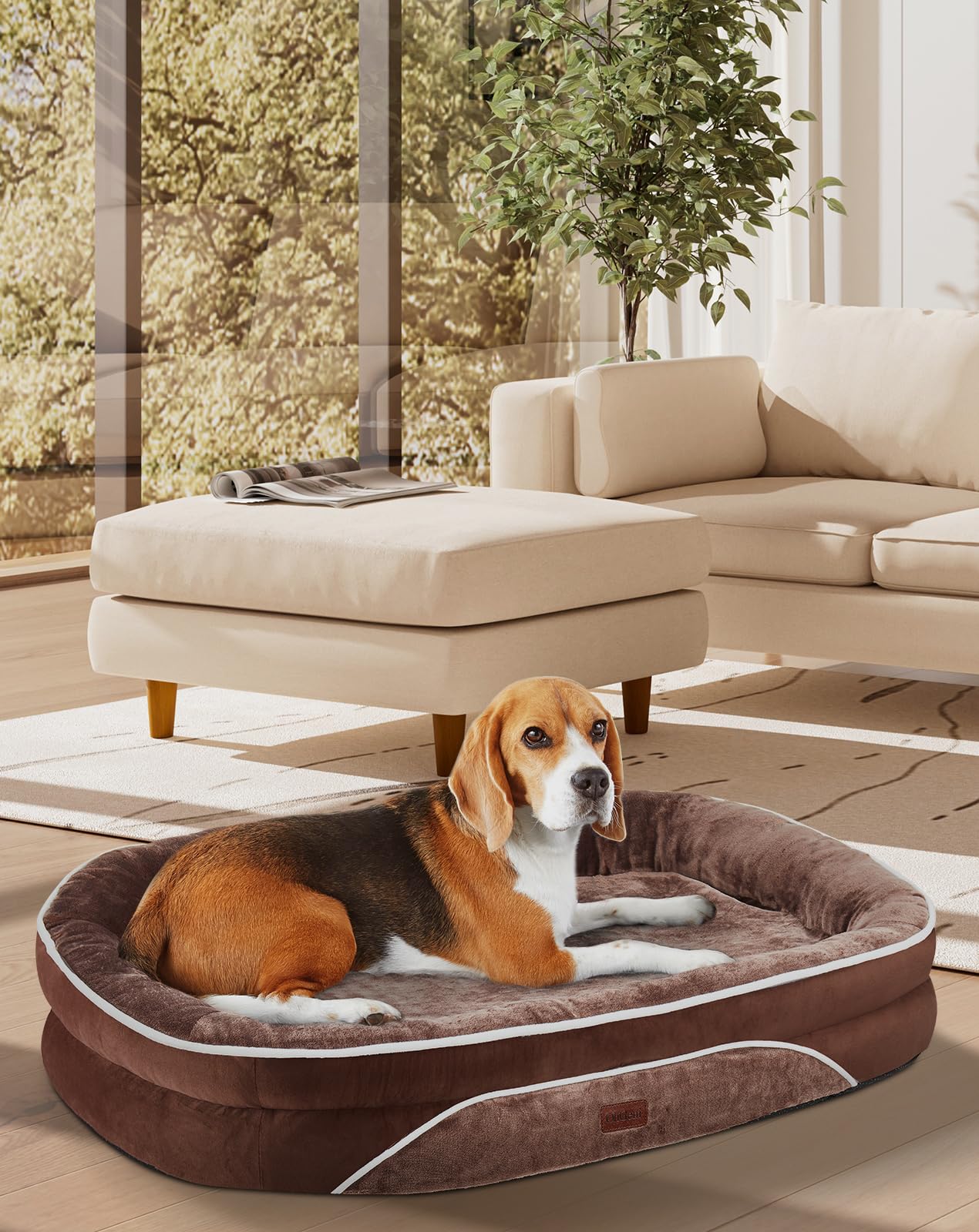 OhGeni Orthopedic Dog Bed for Large Dogs (35" x 28") – Waterproof 4-Sided Bolster Couch with Egg Crate Foam