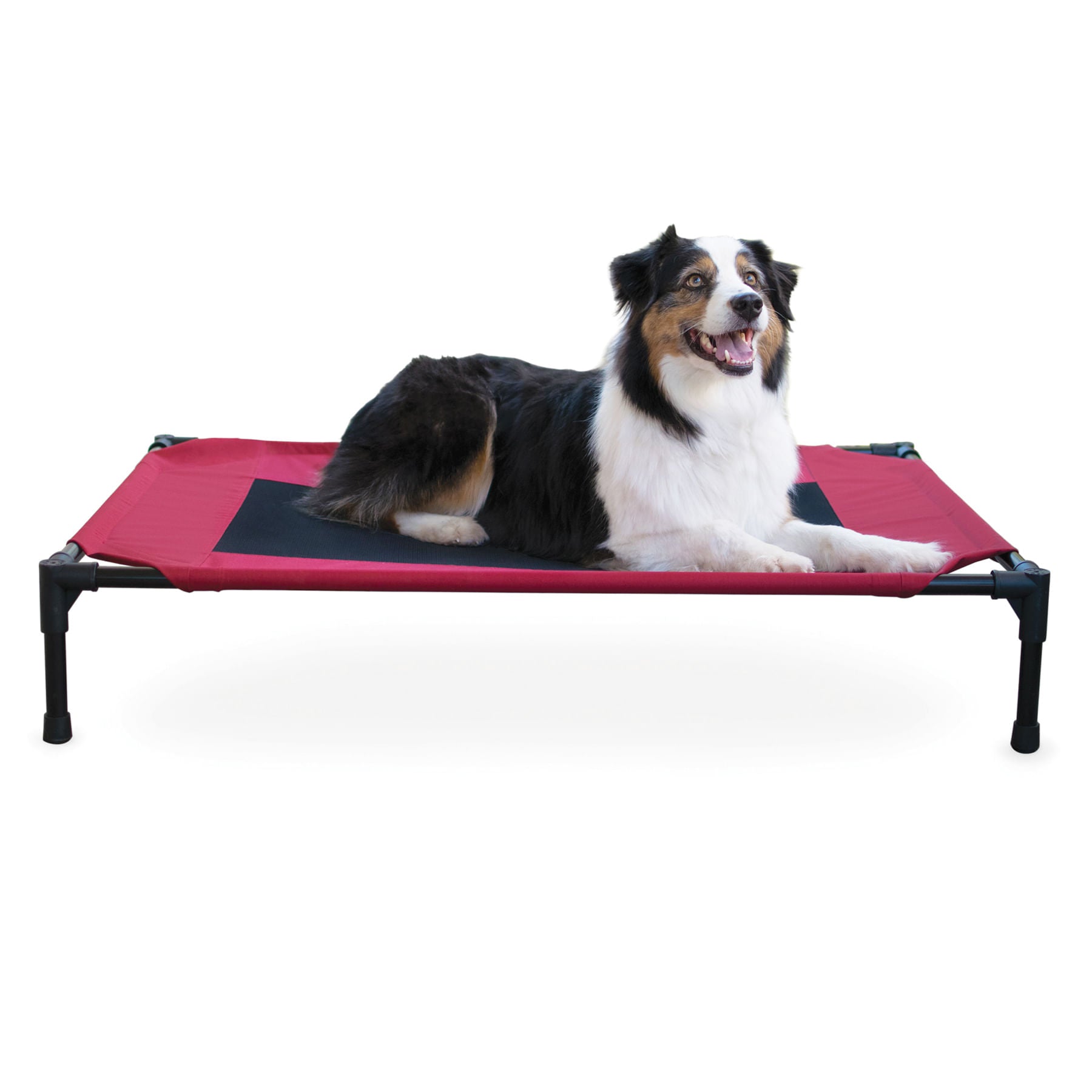 Lit surélevé pour chien K&H, petit à très grand
