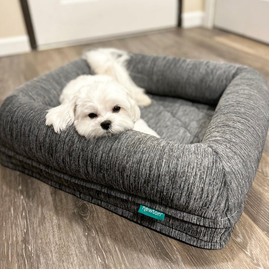 Newton Orthopedic Dog & Cat Bed – Foam-Free, Breathable, Fully Washable