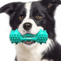 Rubber Molar Stick Chew Toy for Aggressive Chewers | Dental Cleaning, Blue